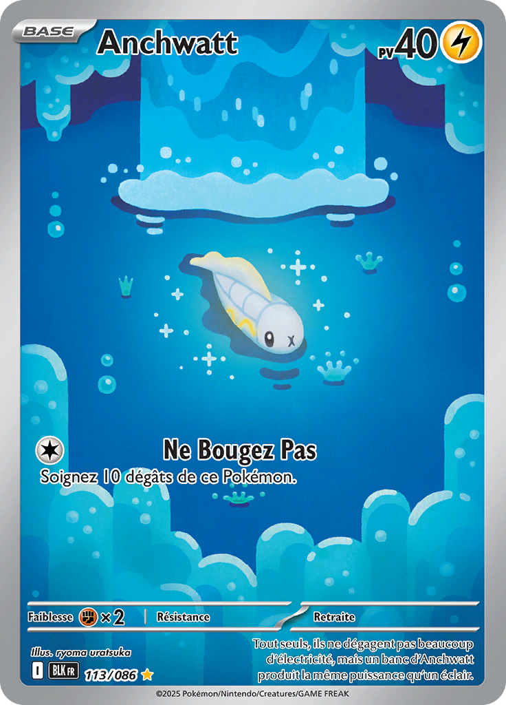 Card 113