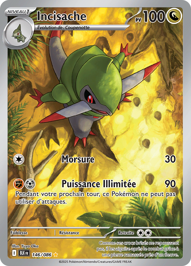 Card 146