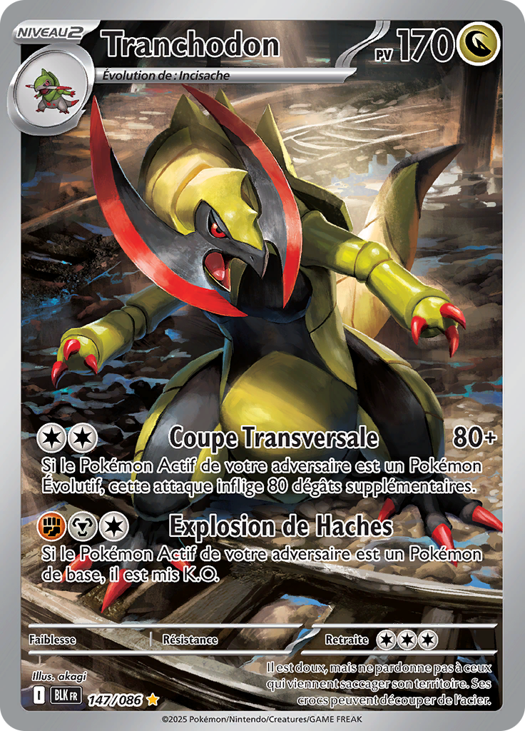 Card 147