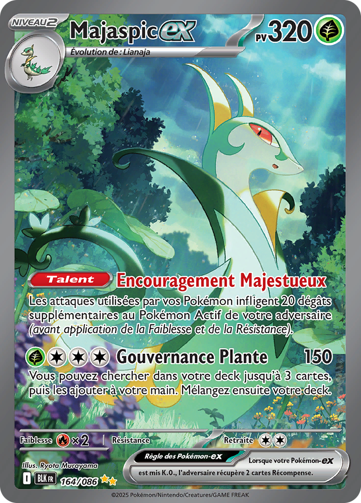 Card 164