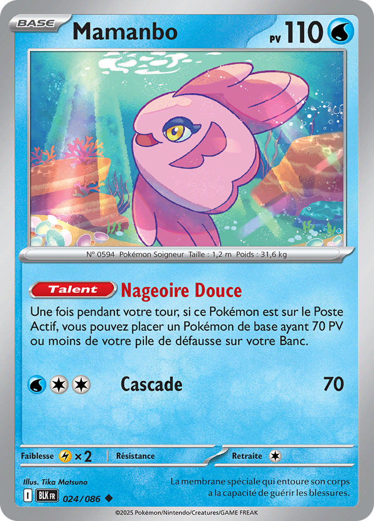 Card 24