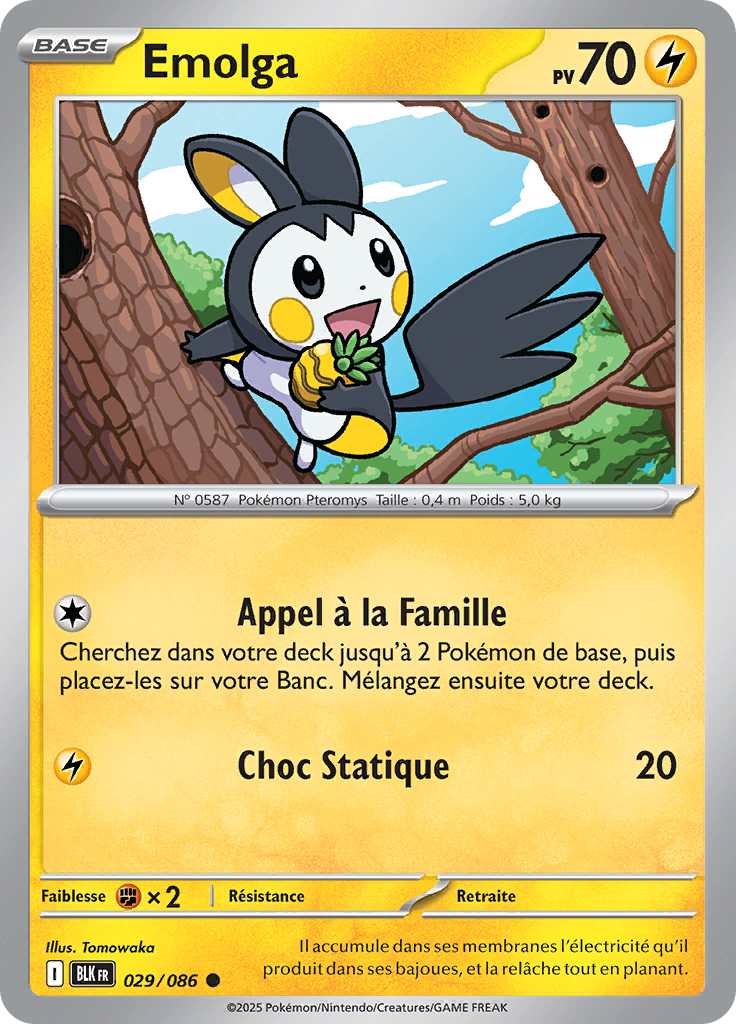 Card 29