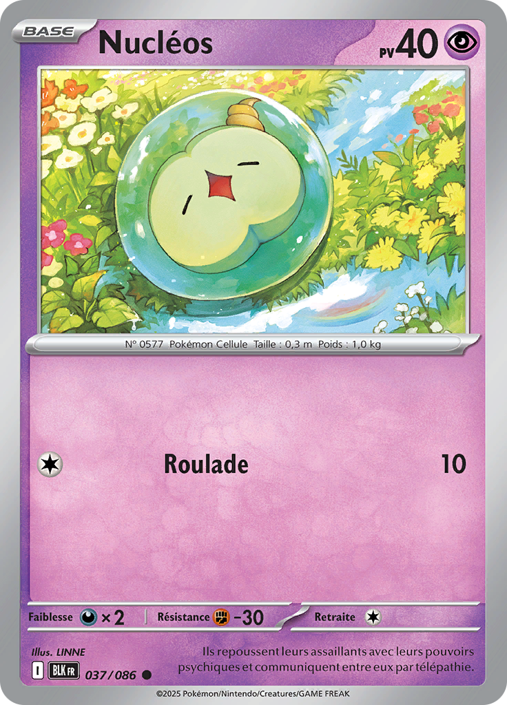 Card 37