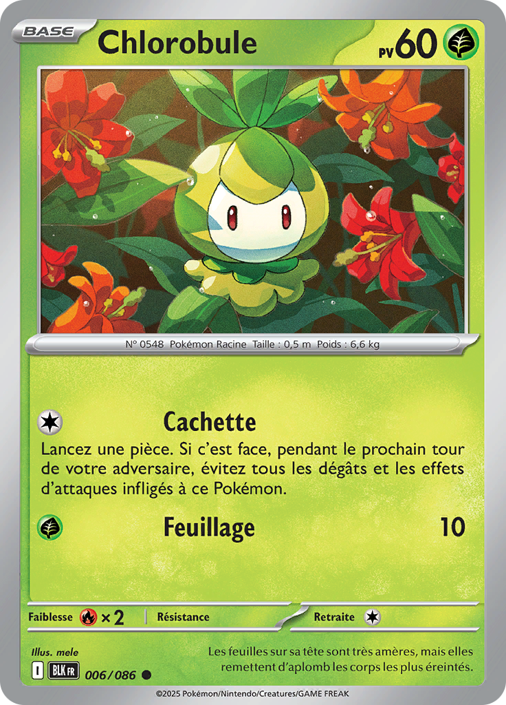 Card 6