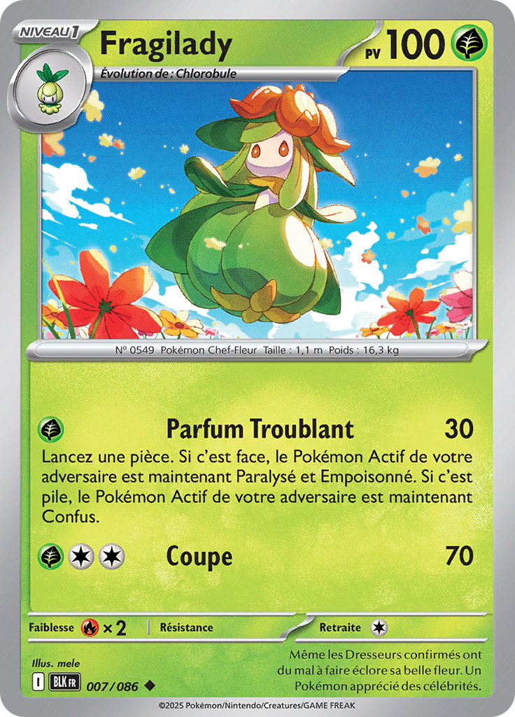 Card 7