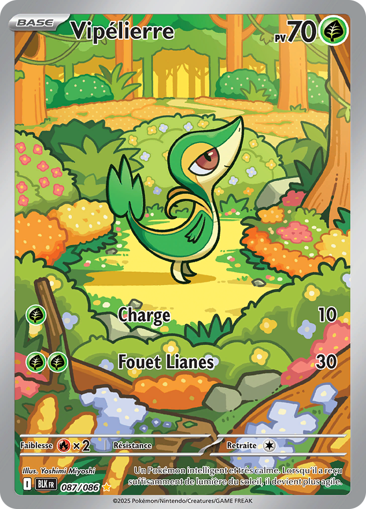 Card 87
