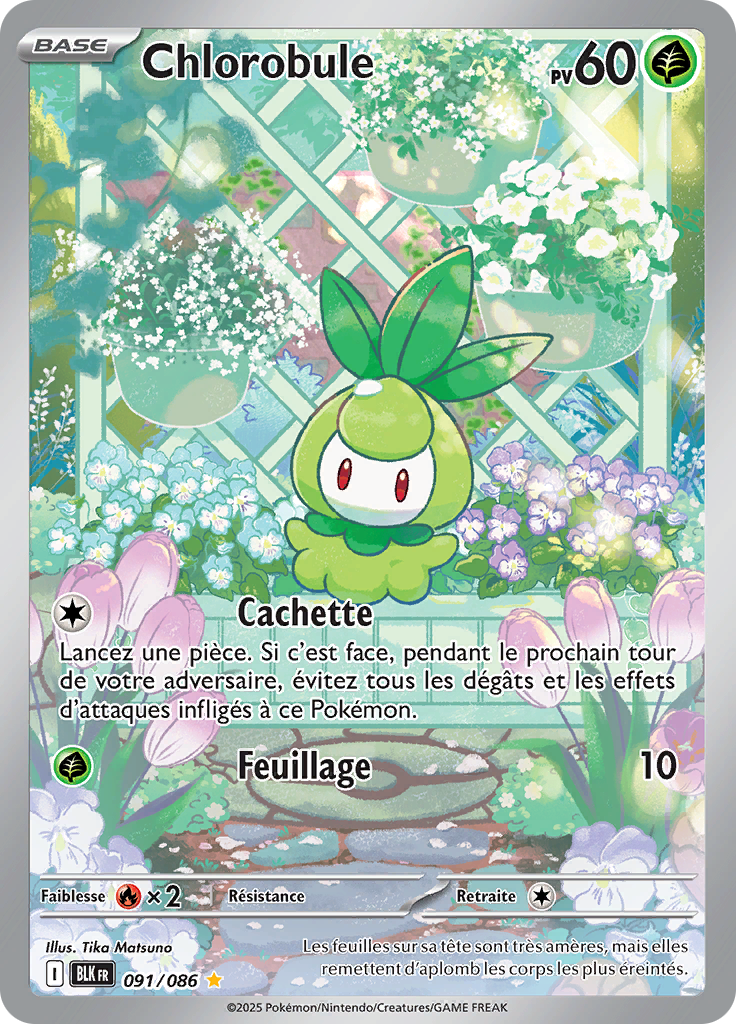 Card 91