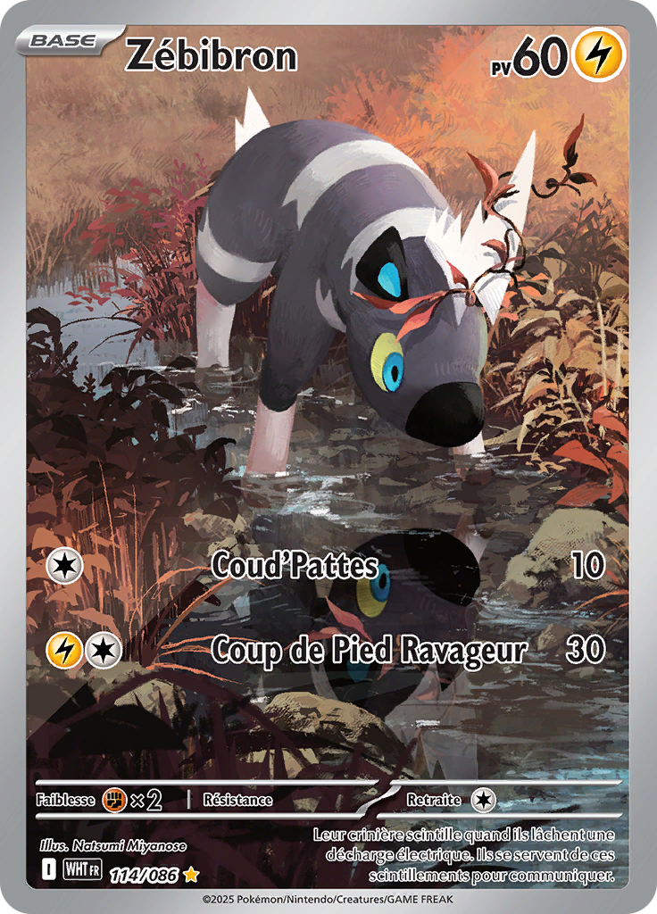 Card 114
