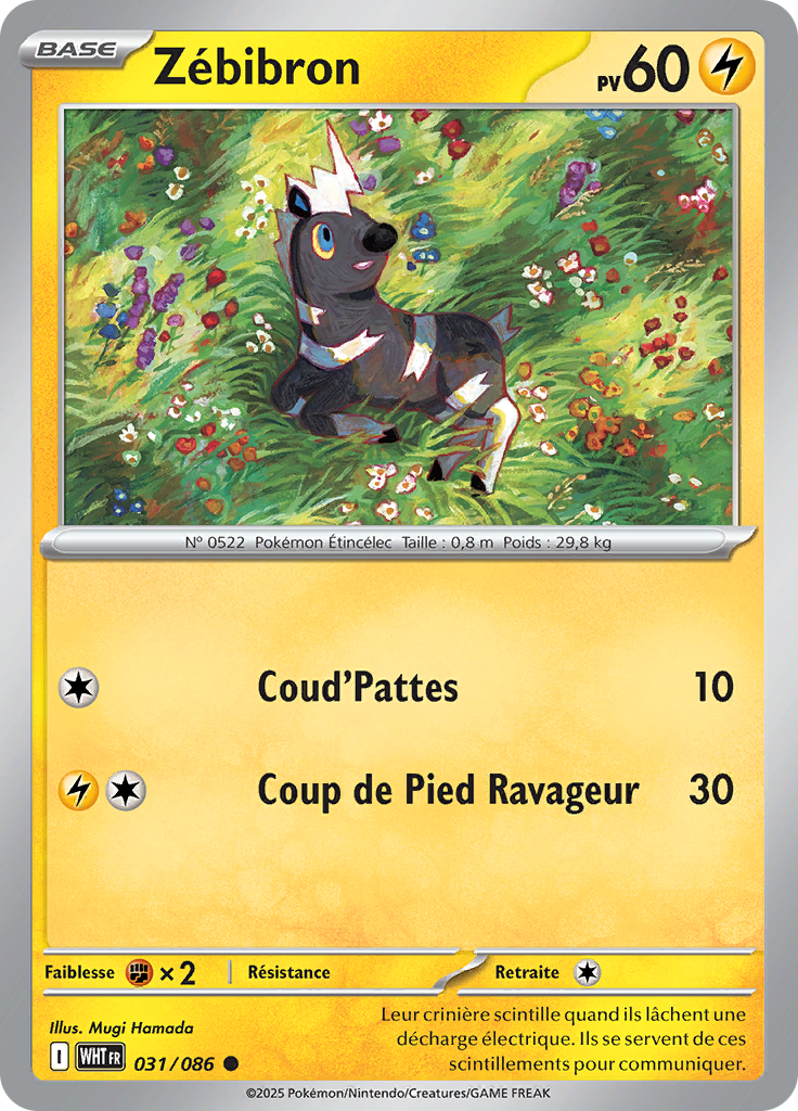Card 31
