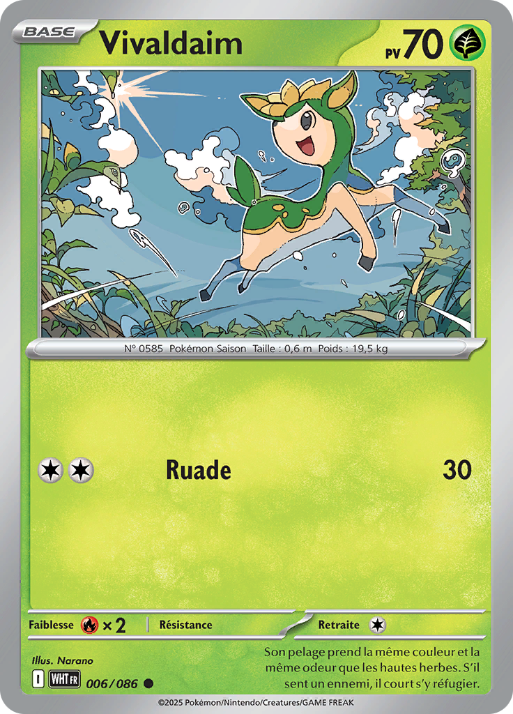 Card 6