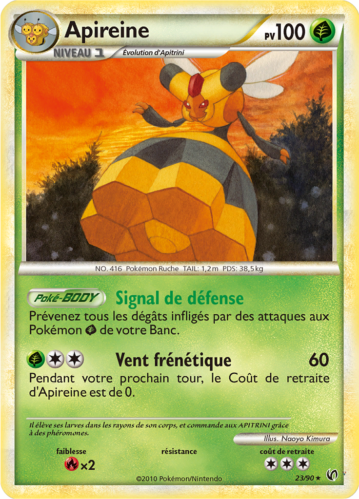 Card 23