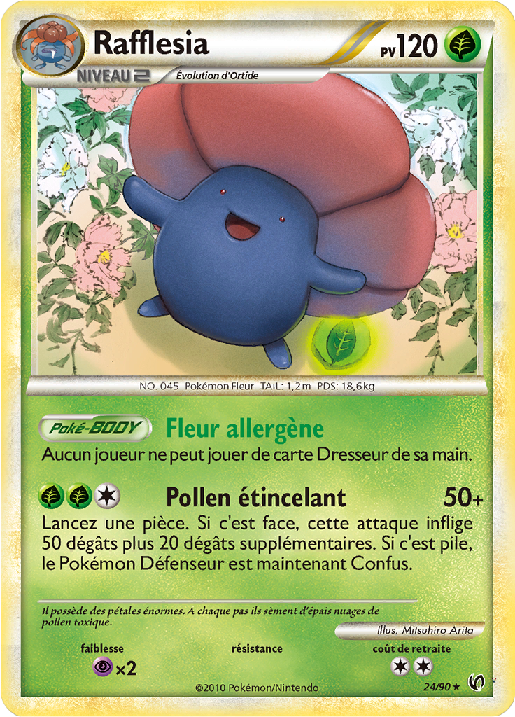 Card 24