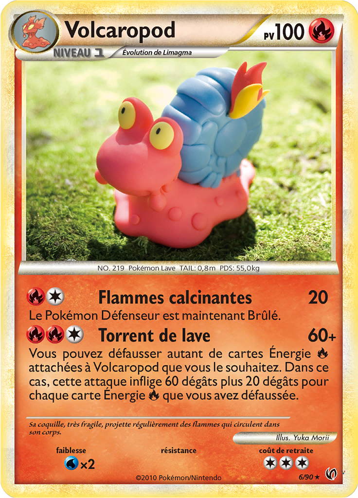 Card 6
