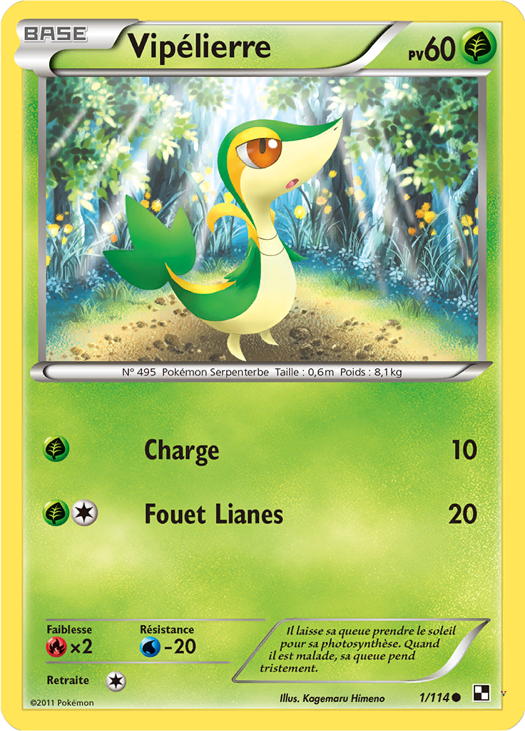 Card 1