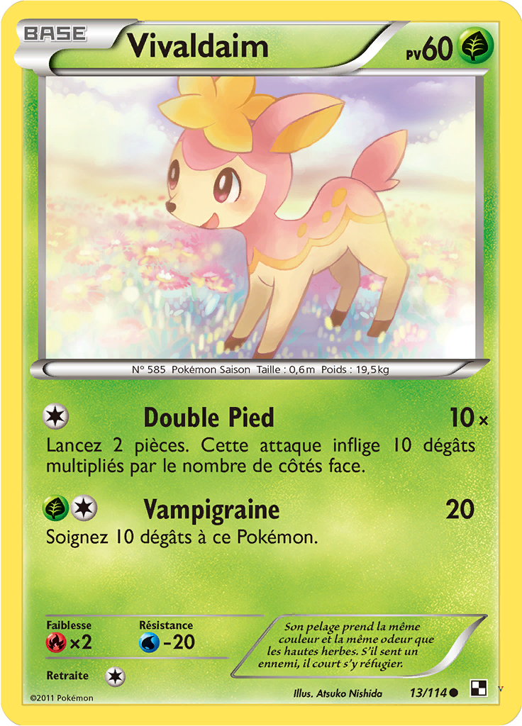 Card 13