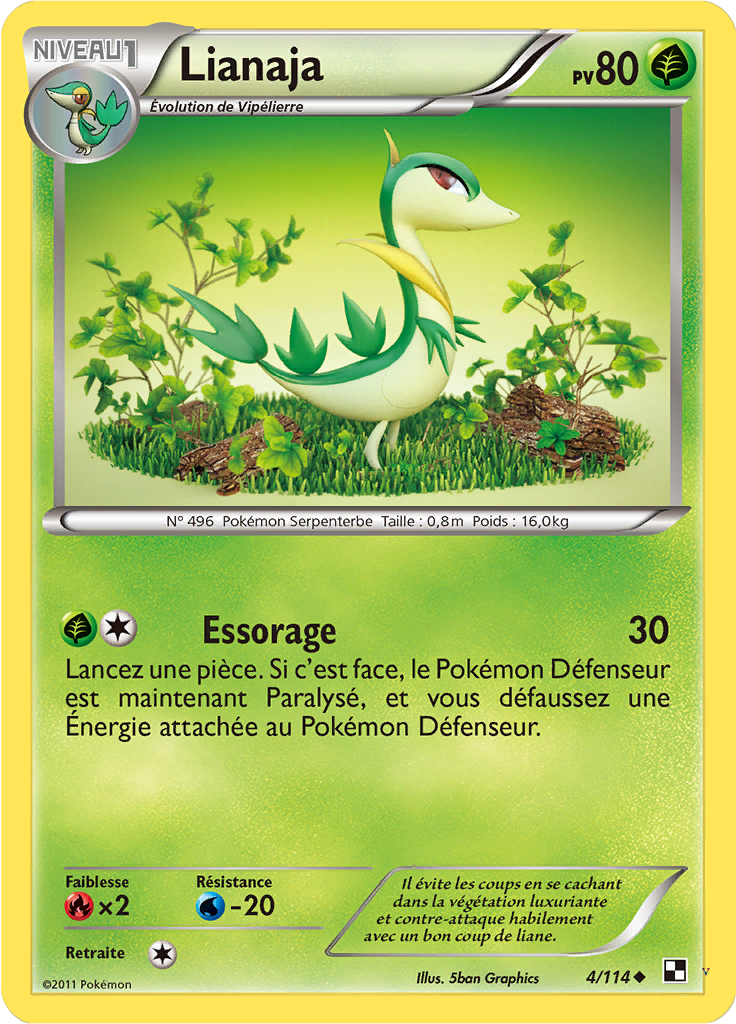 Card 4