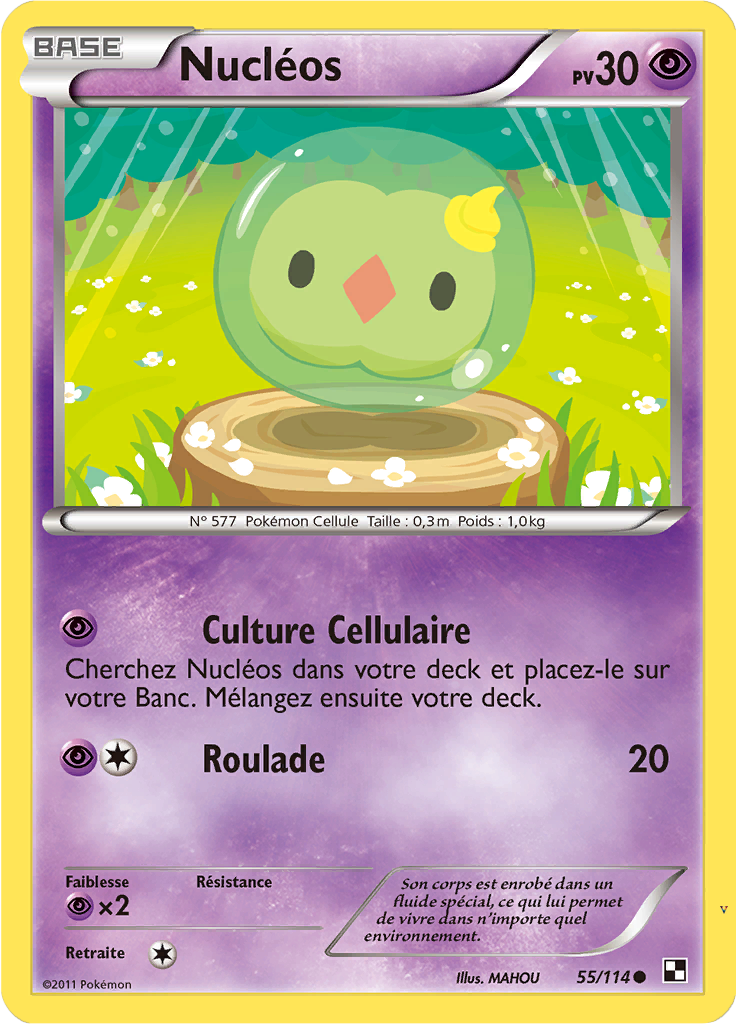 Card 55