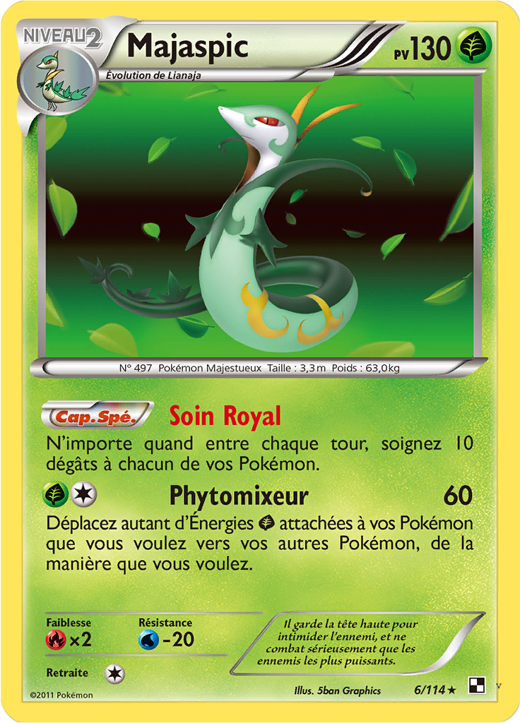 Card 6