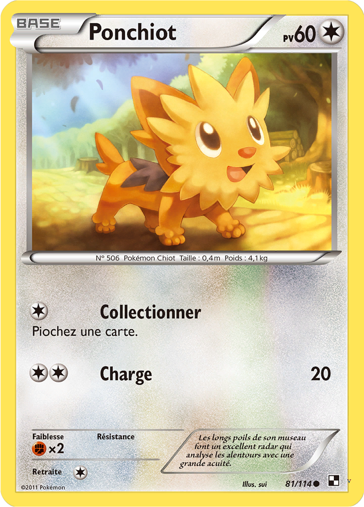 Card 81
