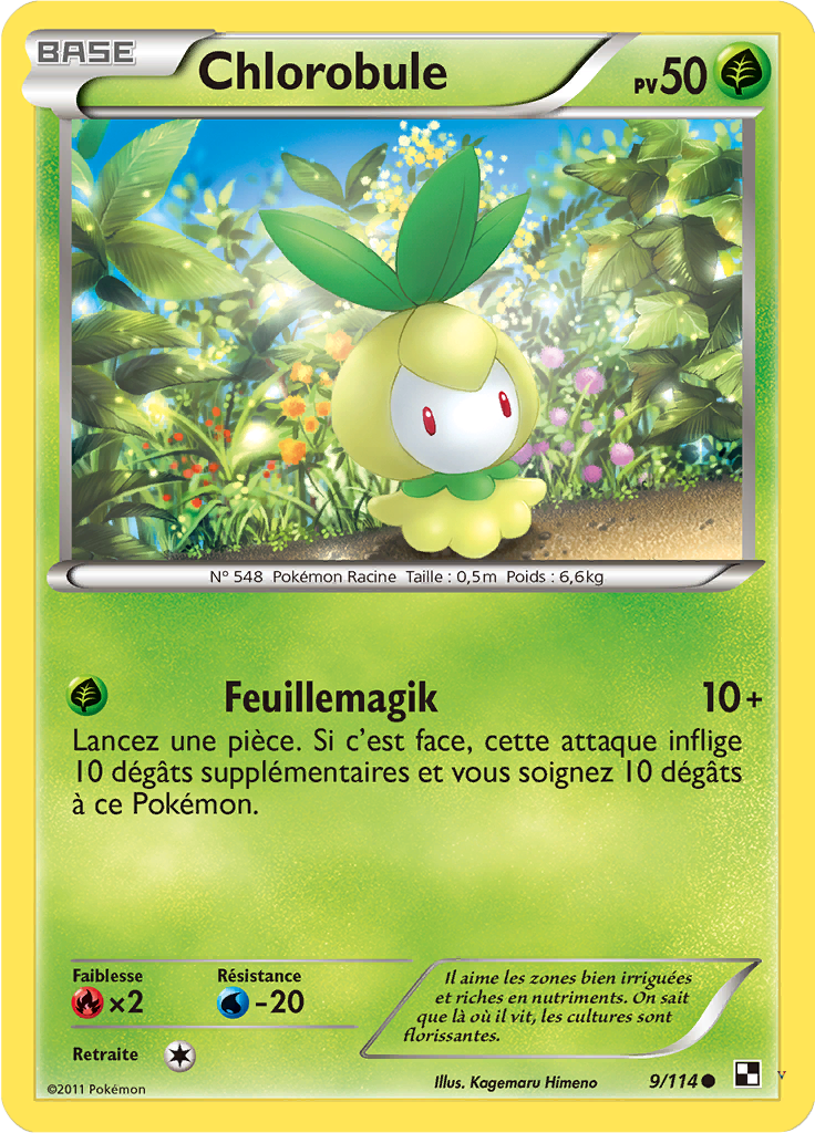 Card 9