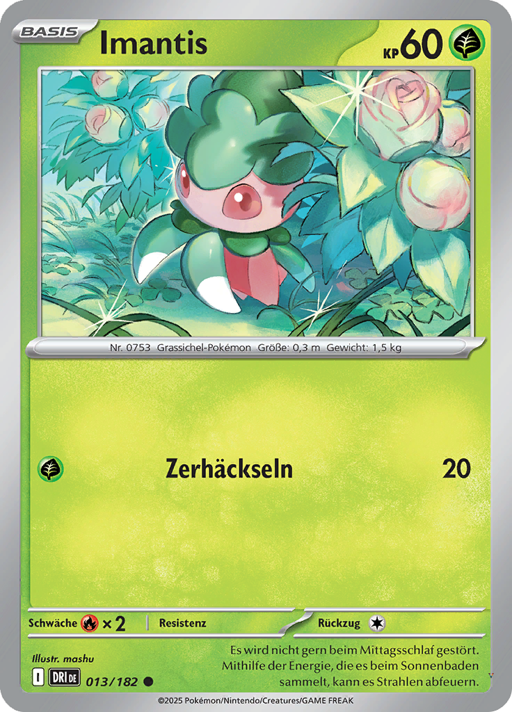 Card 13