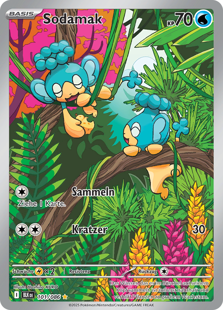 Card 101