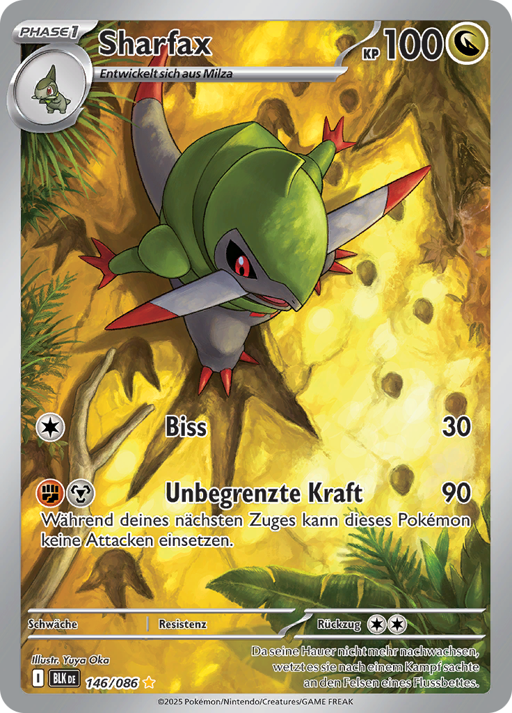 Card 146