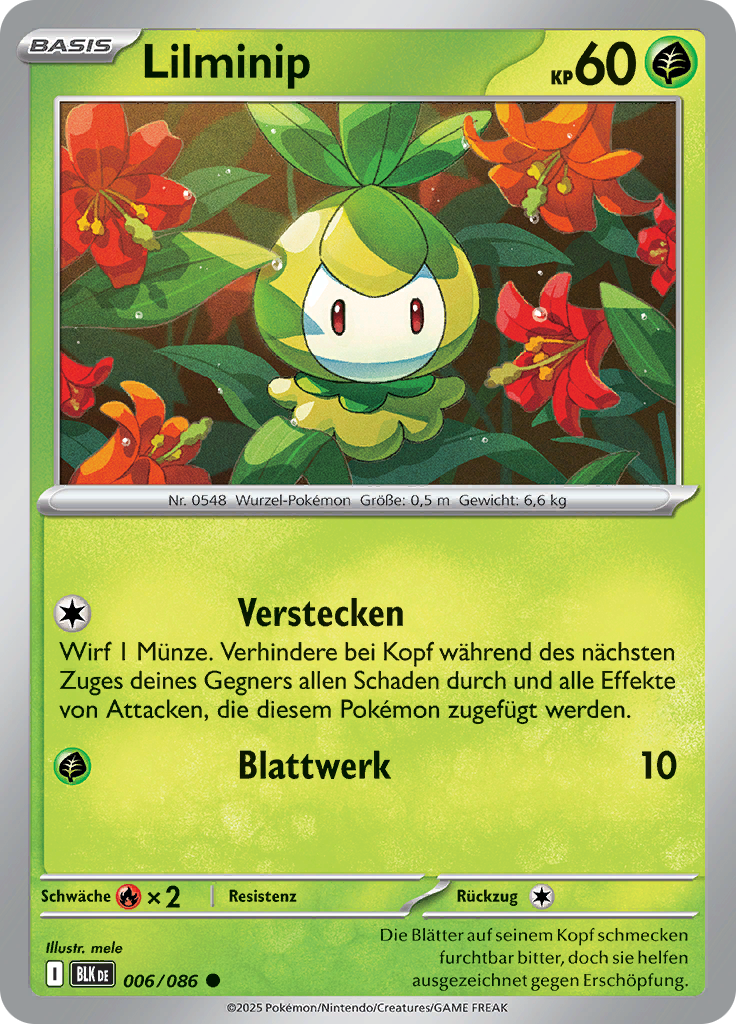 Card 6