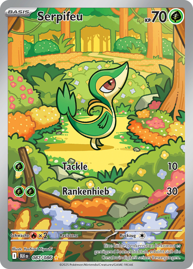 Card 87