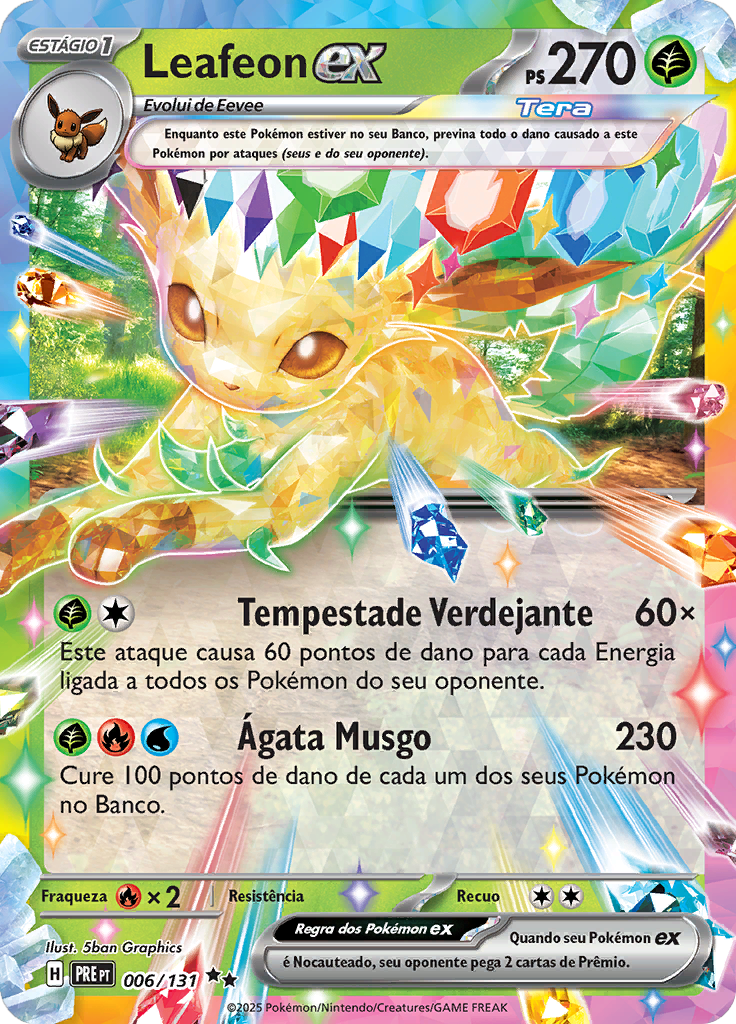 Card 6