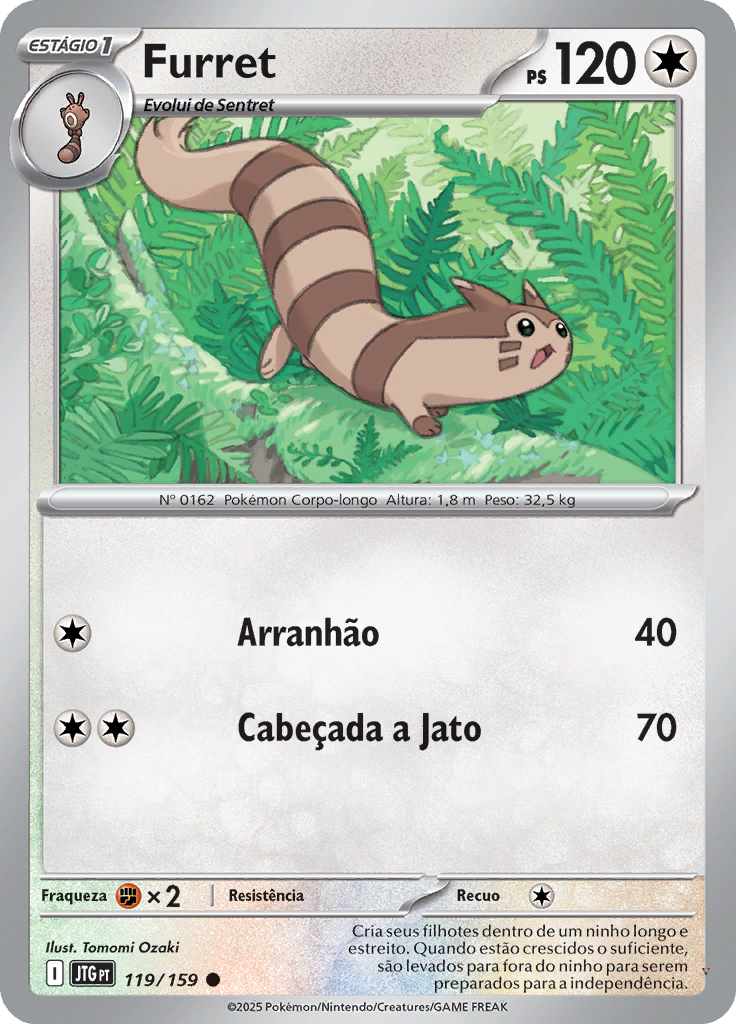 Card 119