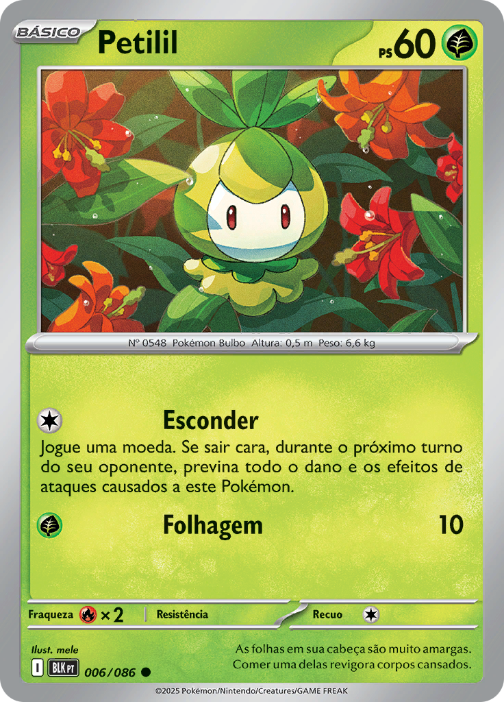 Card 6