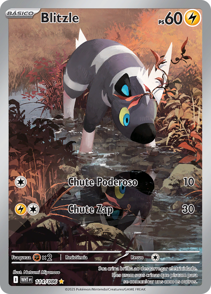 Card 114