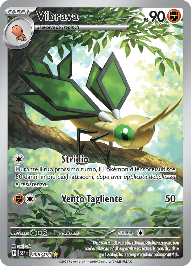 Card 206