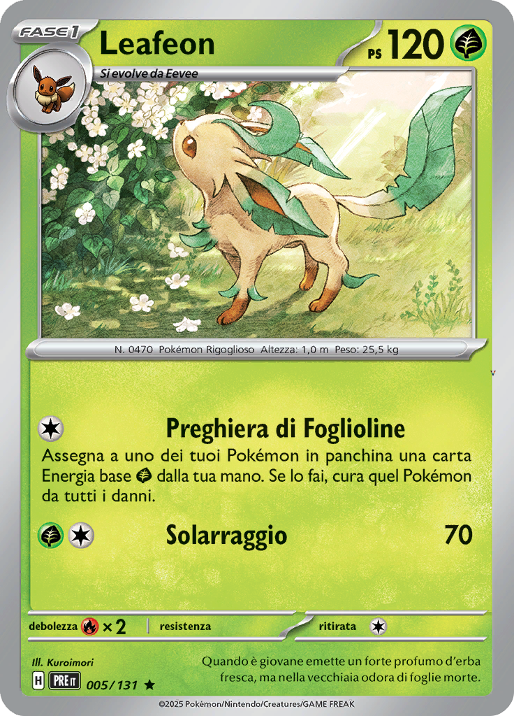 Card 5
