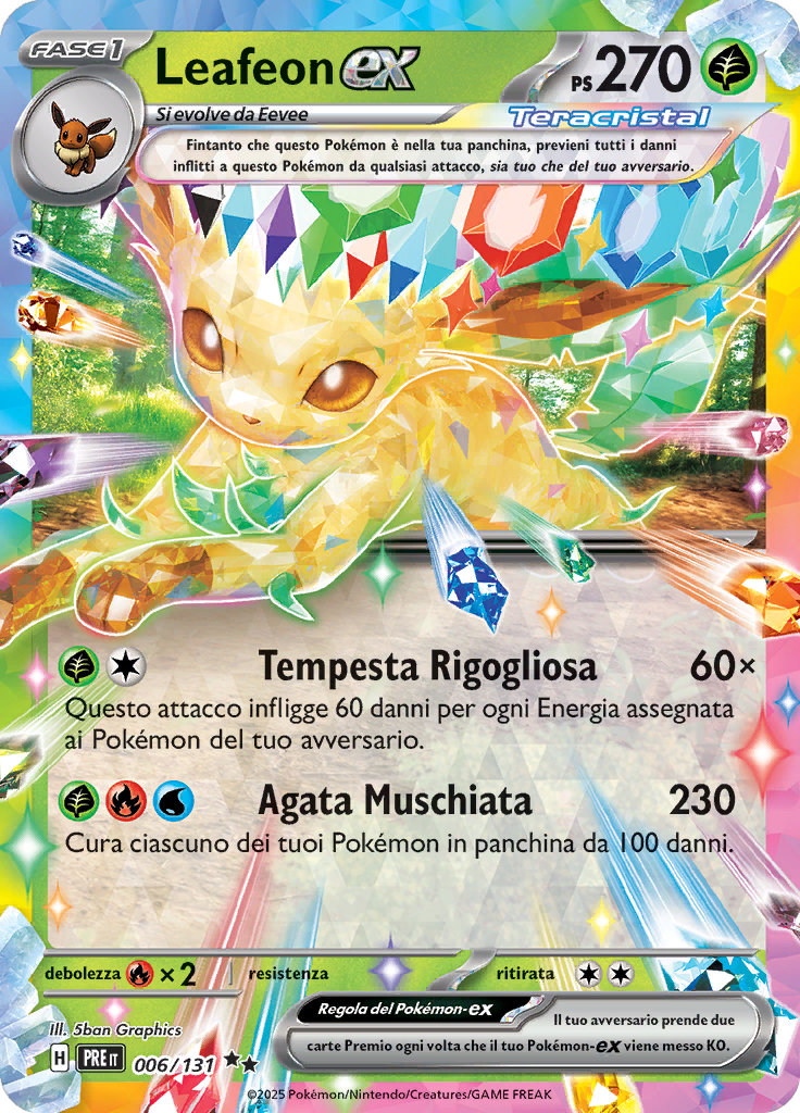 Card 6