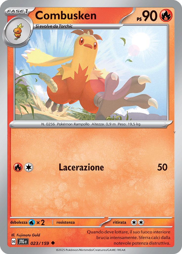 Card 23