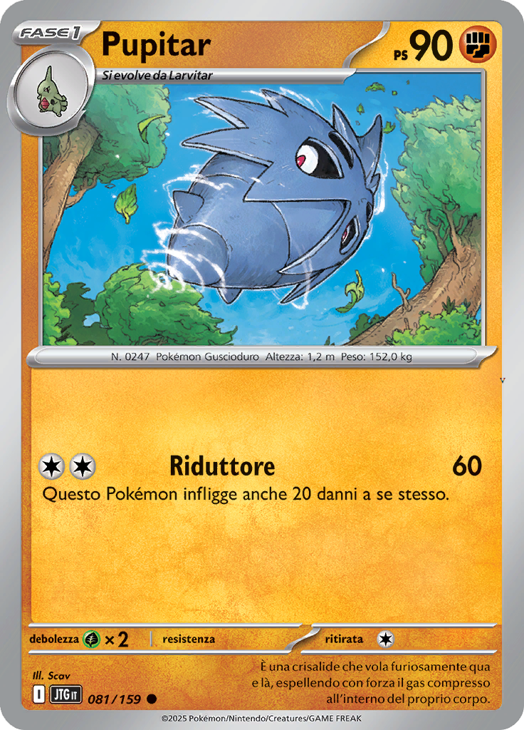 Card 81