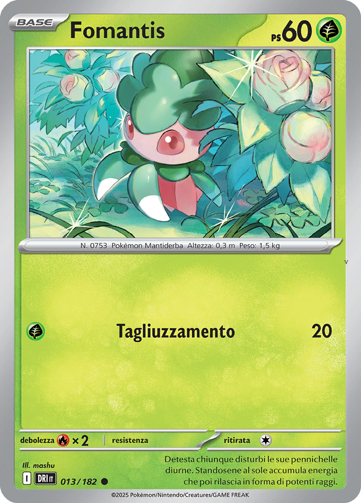 Card 13