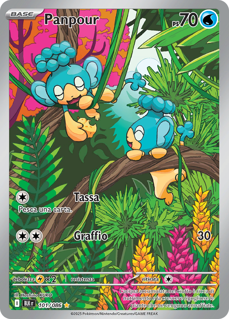 Card 101