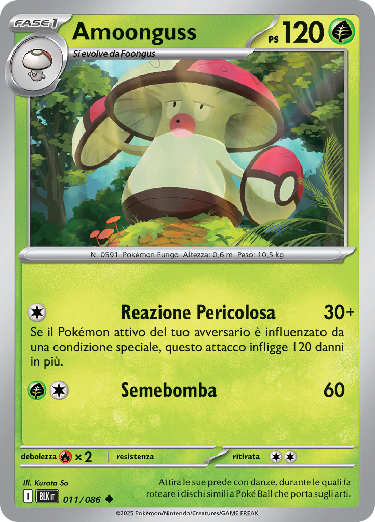 Card 11