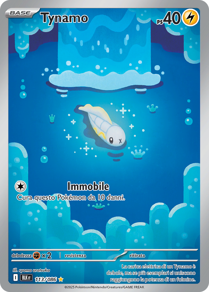 Card 113