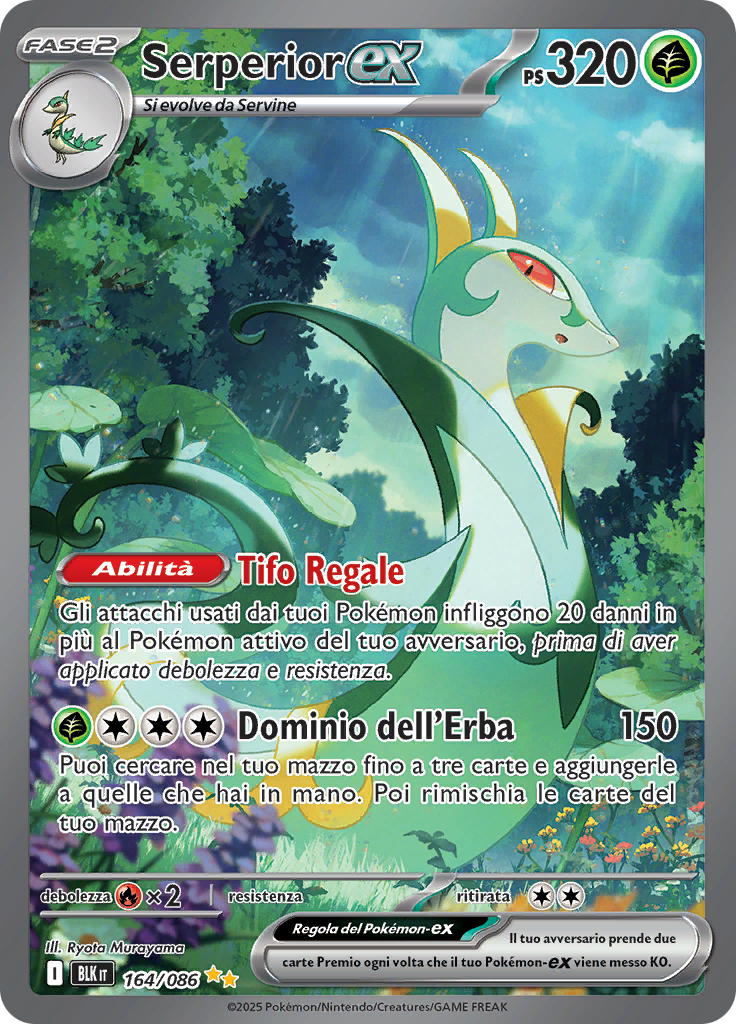 Card 164