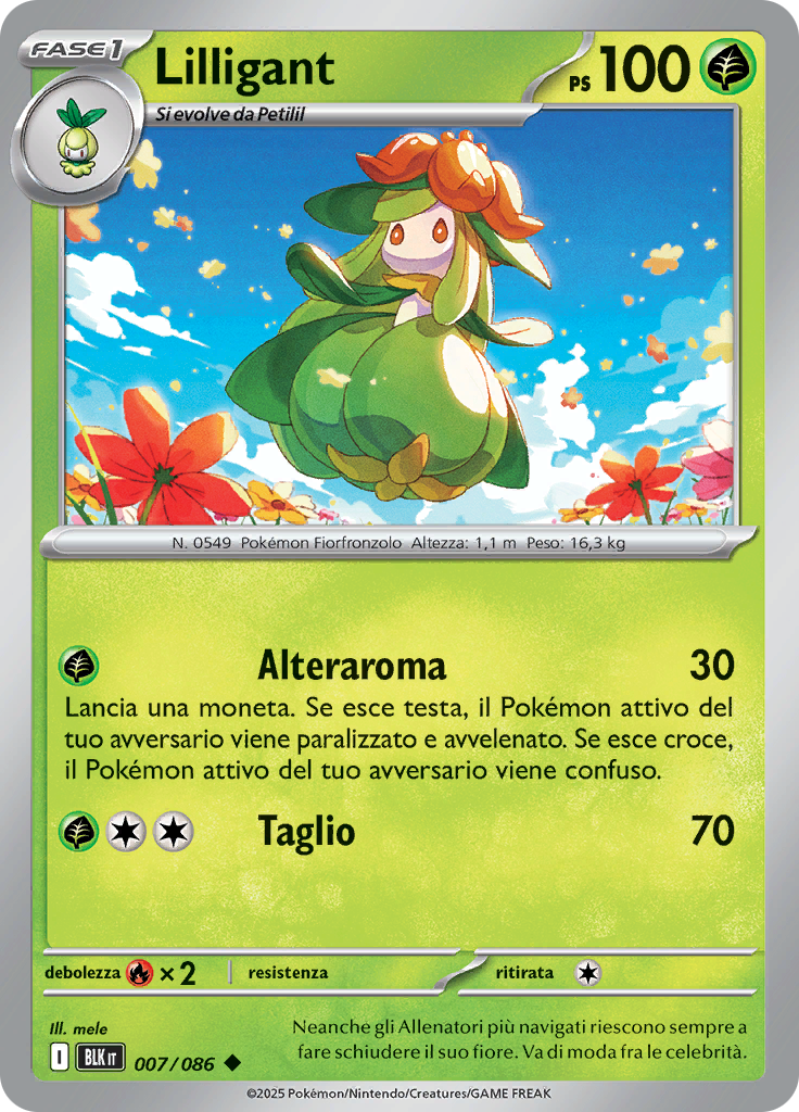 Card 7
