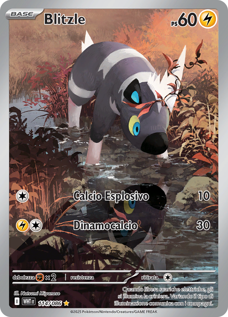 Card 114