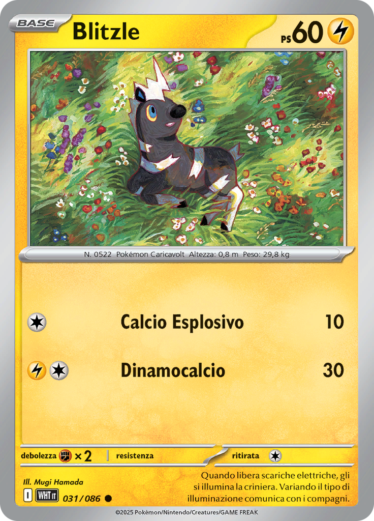 Card 31