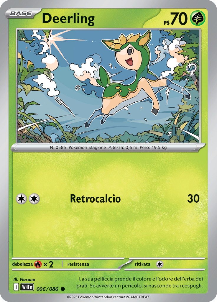 Card 6
