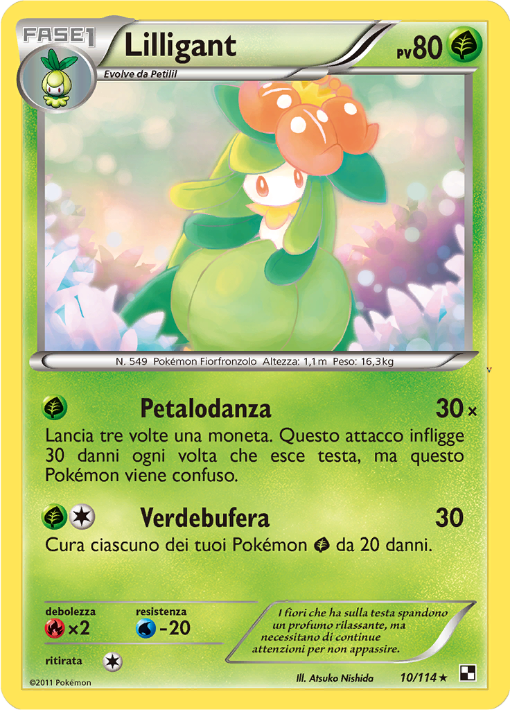 Card 10