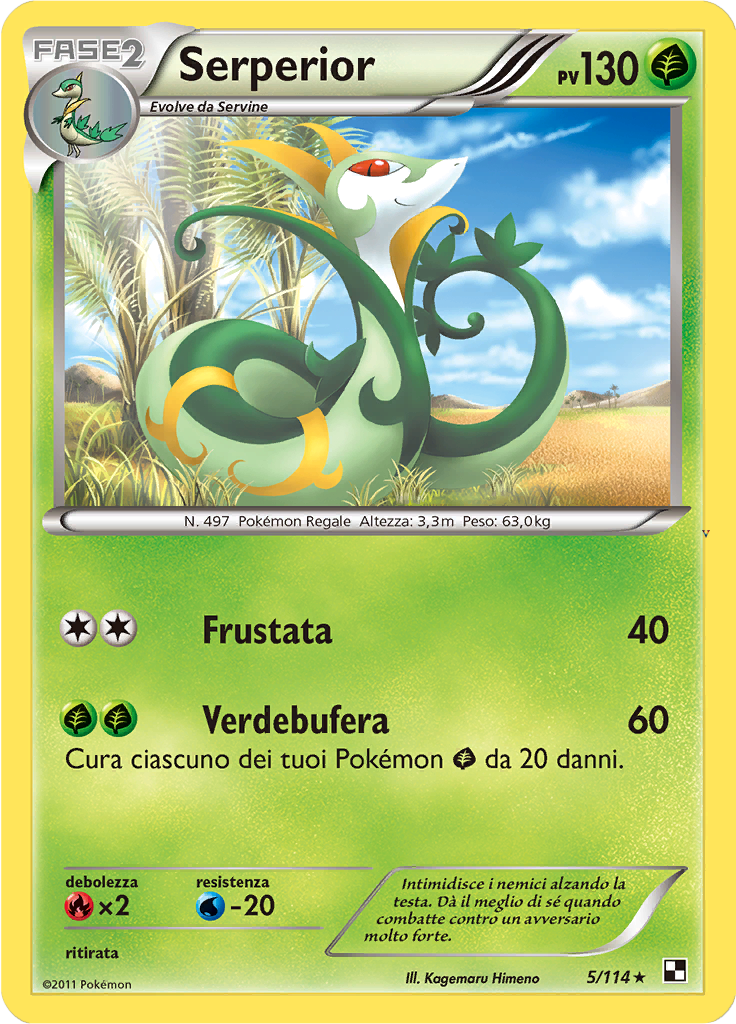 Card 5