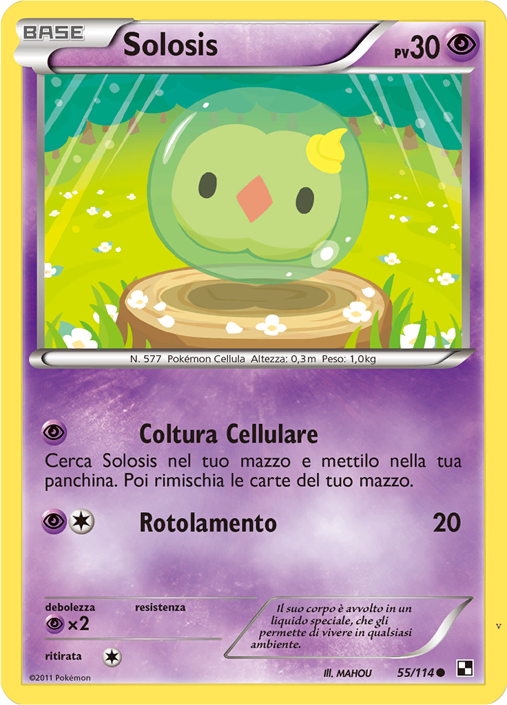 Card 55